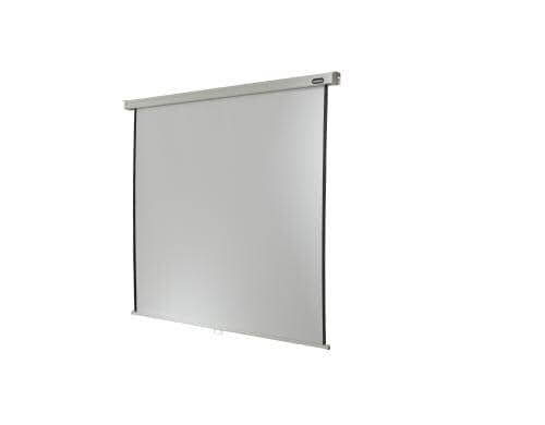 Celexon, Rollo Professional, Leinwand, 1:1 manuell, 240x240cm