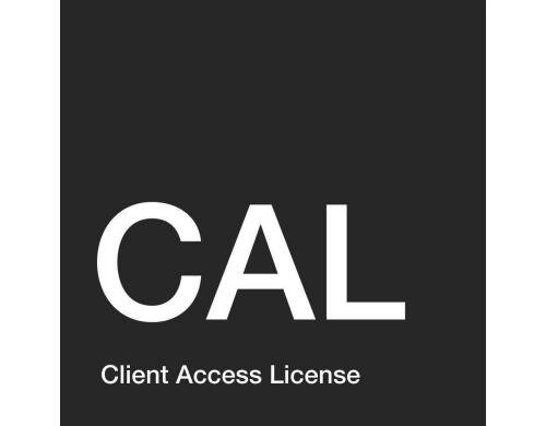 MS Liz CoreCAL User CAL, OpenLicense Open License, Level NL, Liz+SA,SingleLang.