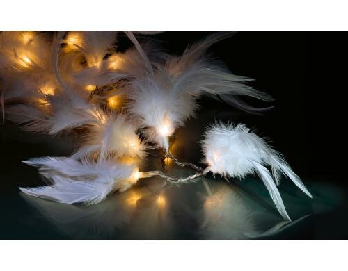 STT Lichterkette LED Plumage 24, 24LED, in 230/24V, 2W, Lichterkette 2m