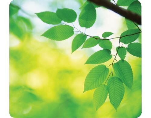 Fellowes Earth Series Mauspad, Blätter langlebig und einfach zu reinigen