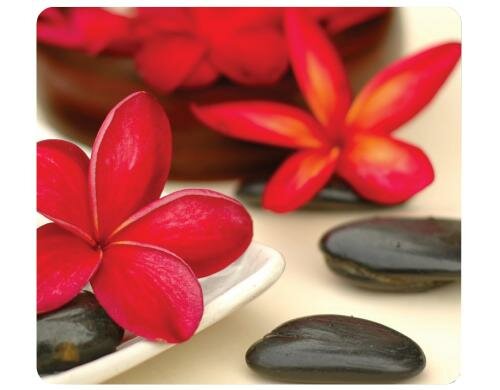 Fellowes Mauspad Wellness Blumen Langlebig und einfach zu reinigen