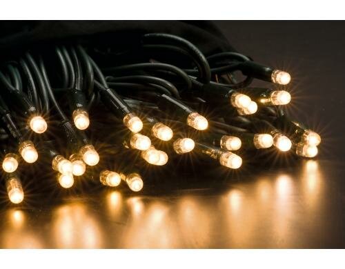 STT Lichterkette LED Tree Light 80, 8m, ww indoor/outdoor, grünes Kabel, 230V, 8.8W