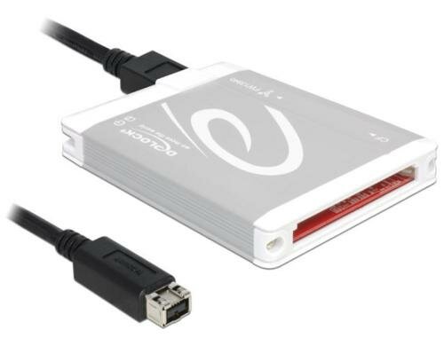 DeLock 91694  Card Reader FireWire B zu Compact Flash
