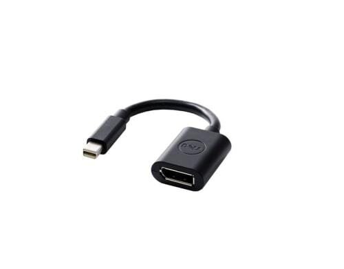 Dell Mini DP zu DP Adapter