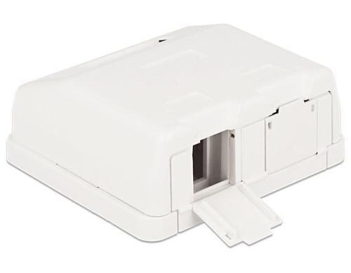 Delock Keystone Leergehäuse: 2 Port reinweiss, für Keystone Modul