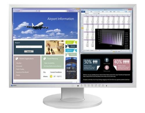 EIZO EV2216W-Swiss Edition 22 grau 1680x1050, 16:10, 5ms, VGA, DVI, DP, 250cd