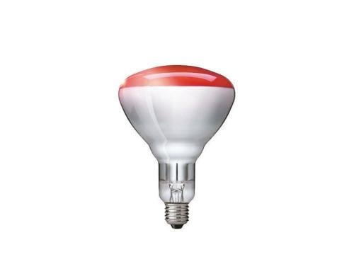Philips Infrarotlampe BR125 250W, E27, 5000h, Kolbenausführung: rot, Hartglas