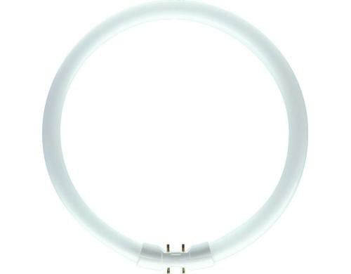 Philips Leuchtstofflampe Ma TL5-Circular, 10.000h, EEL-Klass: A