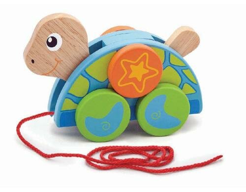 NCT Ziehtier Schildkröte Alter 1.5+