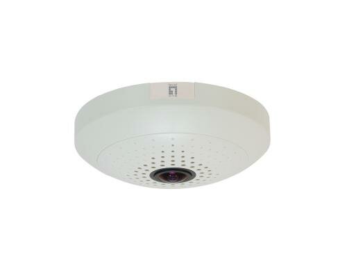 LevelOne IP Kamera FCS-3094 10-Megapixel, POE, 360°