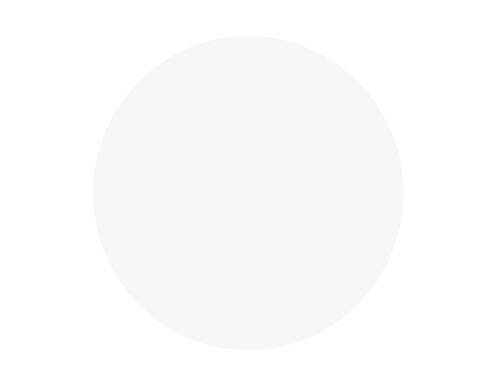Silhouette Mattes Vinyl weiss 1 Rolle, 30.5 cm x 25 m