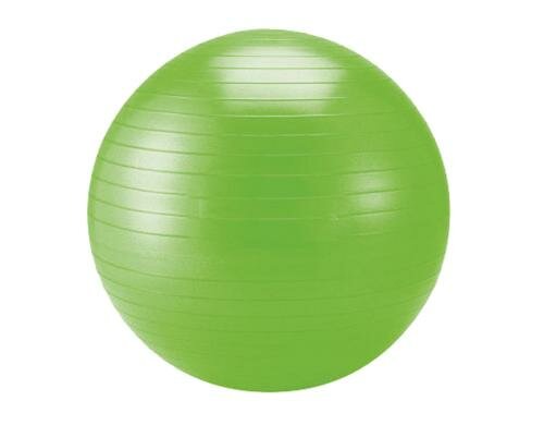 Schildkröt Fitness Gymnastikball 75cm