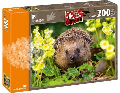 Igel Alter: 8+,
