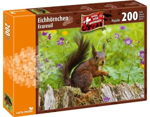 Eichhörnchen Alter: 8+,