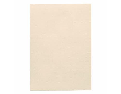 Artoz 1001 A4 220g ivory 5 Kartons copy, laser, inkjet write, watermark, coton