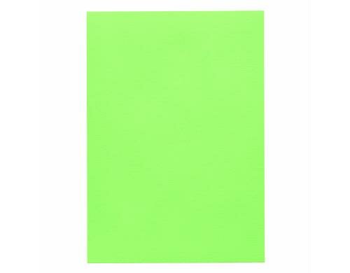 Artoz 1001 A4 220g birkengrün 5 Kartons copy, laser, inkjet write, watermark, coton