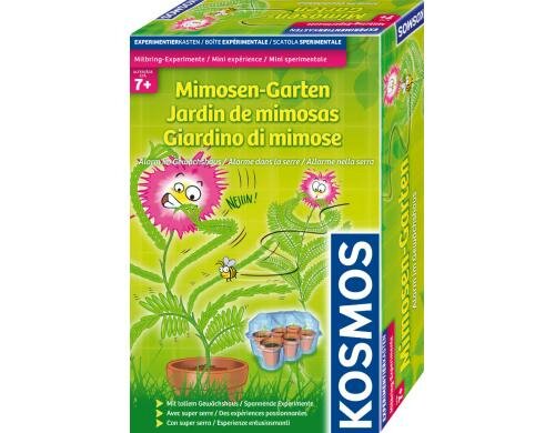 Mimosen-Garten Alter: 7+