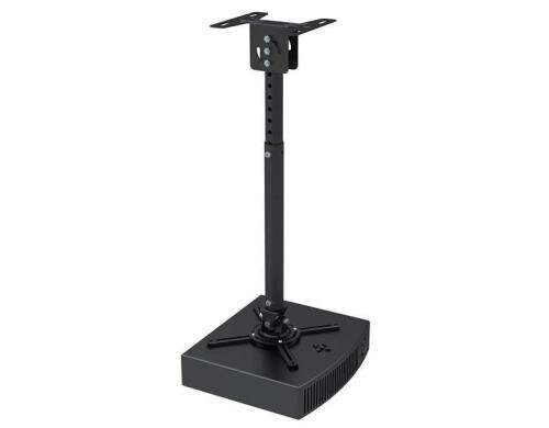 NewStar BEAMER-C100 Projector Ceiling Mount (H 29-81 cm)
