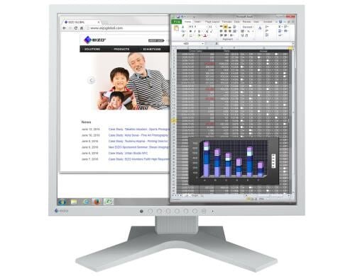 EIZO S1934H Swiss Edition 19 grau 1280x1024, 5:4, 14ms, VGA, DVI, DP, IPS