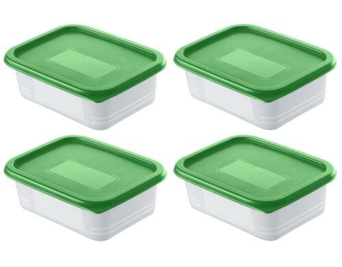 Rotho Gefrierdosen Set Domino Pine 4x 0.5 Liter, grün, 157x118x105 mm