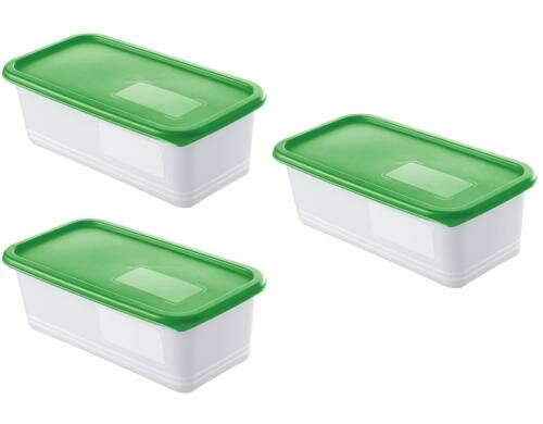 Rotho Gefrierdosen Set Domino Pine 3x 1.2 Liter, grün, 233x118x112 mm