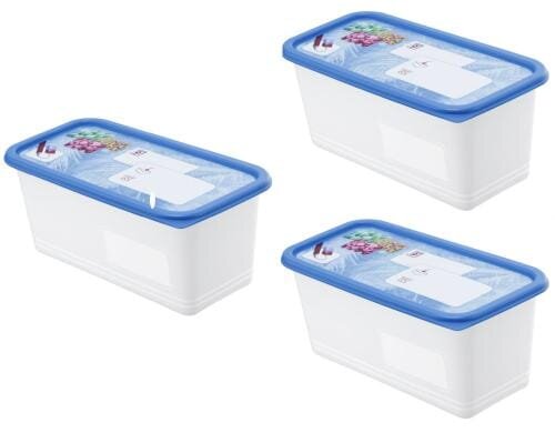 Rotho Gefrierdosen Set Domino Dekor 3x 1.5 Liter, 233x118x136 mm