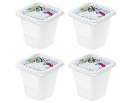 Rotho Gefrierdosen Set Domino Dekor 4x 0.22 Liter, 80x80x118 mm