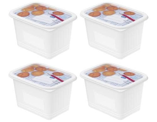 Rotho Gefrierdosen Set Domino Dekor 4x 1.0 Liter, 157x118x155 mm
