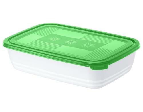 Rotho Gefrierdose Freeze Pine 2.7  Liter, grün, 295x200x70 mm
