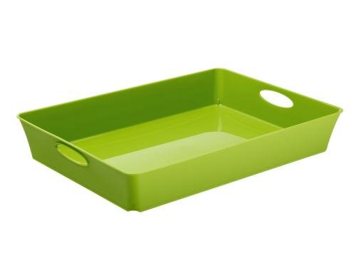 Rotho Living Box C4 grün 375x266x60 mm