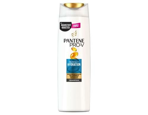 Pantene Pro-V Shampo Perfect Hydratio 300ml 300 ml