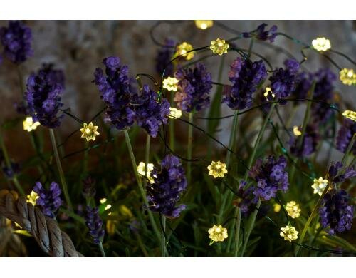 Sirius LED Lichterkette Silke, 40 LED Outdoor, Kabel transparent, grün