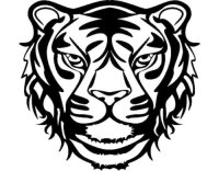 Marabu Schablone Silhouette 30 x 30 cm, Wild Tiger