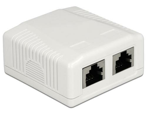 Delock RJ-45 Cat.6A Gehäuse: 2 Port Weiss, LSA Anschluss für Installationskabel