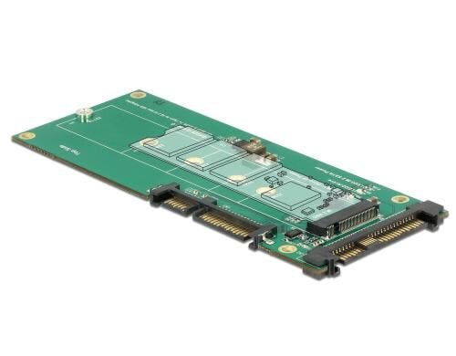 DeLock U.2 oder SATA zu M.2 Adapter U.2 für NVMe M.2 SSD, SATA für SATA M.2 SSD