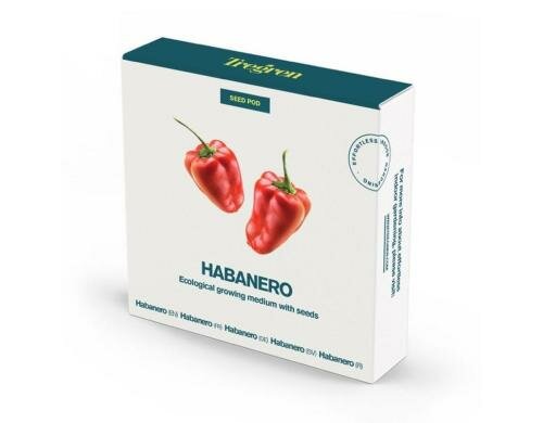 Tregren Habanero Seed pots