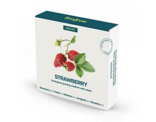 Tregren Strawberry Seed pots