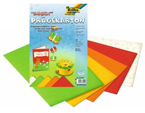Folia Prägekarton Rosen 10 Blatt à 220g/m2, 23x33cm