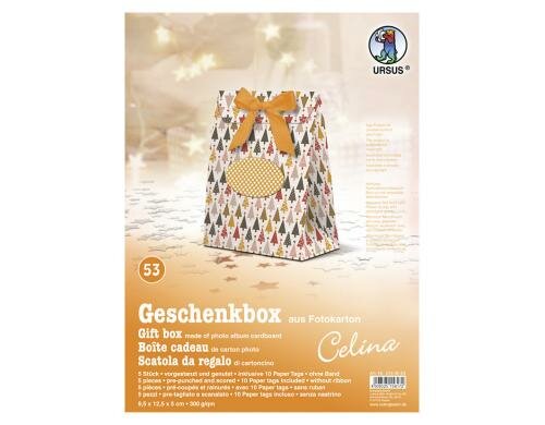 URSUS Geschenkbox Celina Tannen 5 Stück, 10 Paper Tags