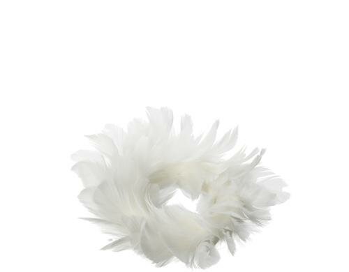 Leonardo Federkranz 16cm weiss Nido 12 Stück, Frühlingsartikel