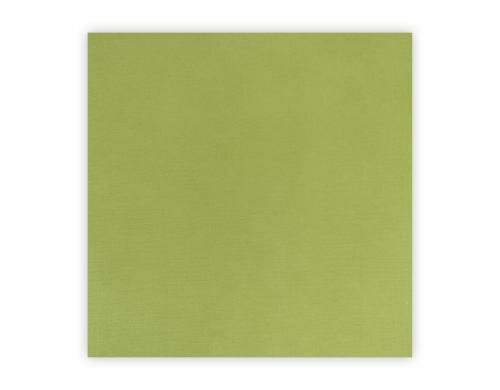Silhouette selbtklebendes Papier 25 Blatt, 30.5 x 30.50 cm, hellgrün