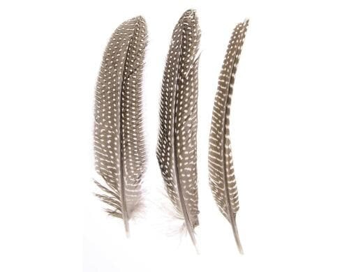 Glorex Federn Perlhuhn 16 - 18 cm, ca. 15 Stück