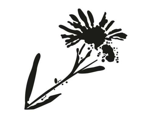 Glorex Reliefeinlagen Blume 50 x 50 mm