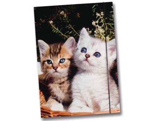 Folia Sammelmappe Katzen Grösse A3, mit Gummiband