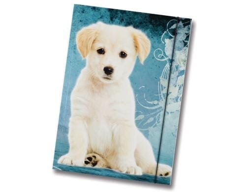 Folia Sammelmappe Hund Grösse A3, mit Gummiband