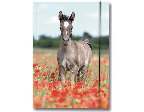 Folia Sammelmappe Pferd Grösse A3, mit Gummiband