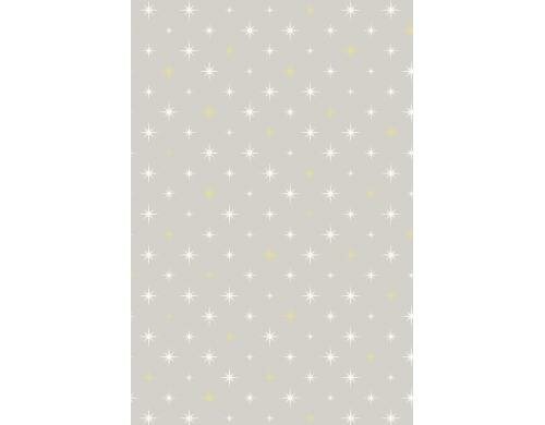 Stewo Geschenkpapier Corona grau Grösse 70cm x 1.5m