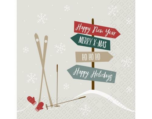 Stewo Servietten Nevis 20 Stück, Grösse 33x33cm