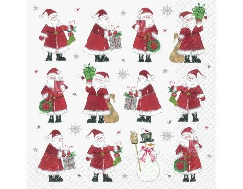 Stewo Servietten Jordi 20 Stück, Grösse 33x33cm