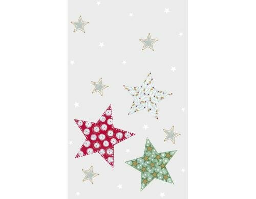 Stewo Weihnachtsgebäck-Beutel Flurin 10 Stück, Grösse 11.5 x 19cm